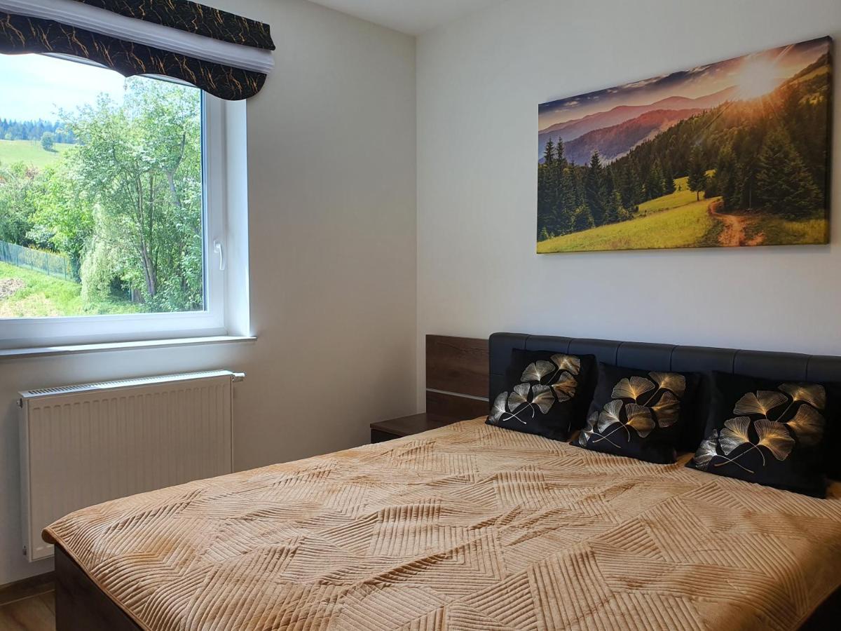Apartamenty Ski & Fun Spokojna Wisła Kültér fotó