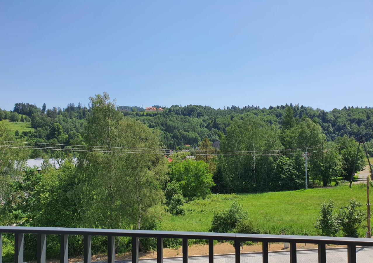 Apartamenty Ski & Fun Spokojna Wisła Kültér fotó