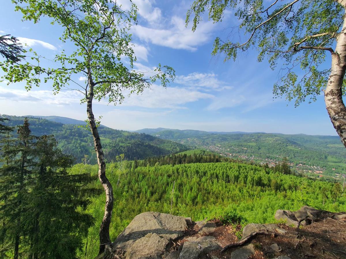 Apartamenty Ski & Fun Spokojna Wisła Kültér fotó